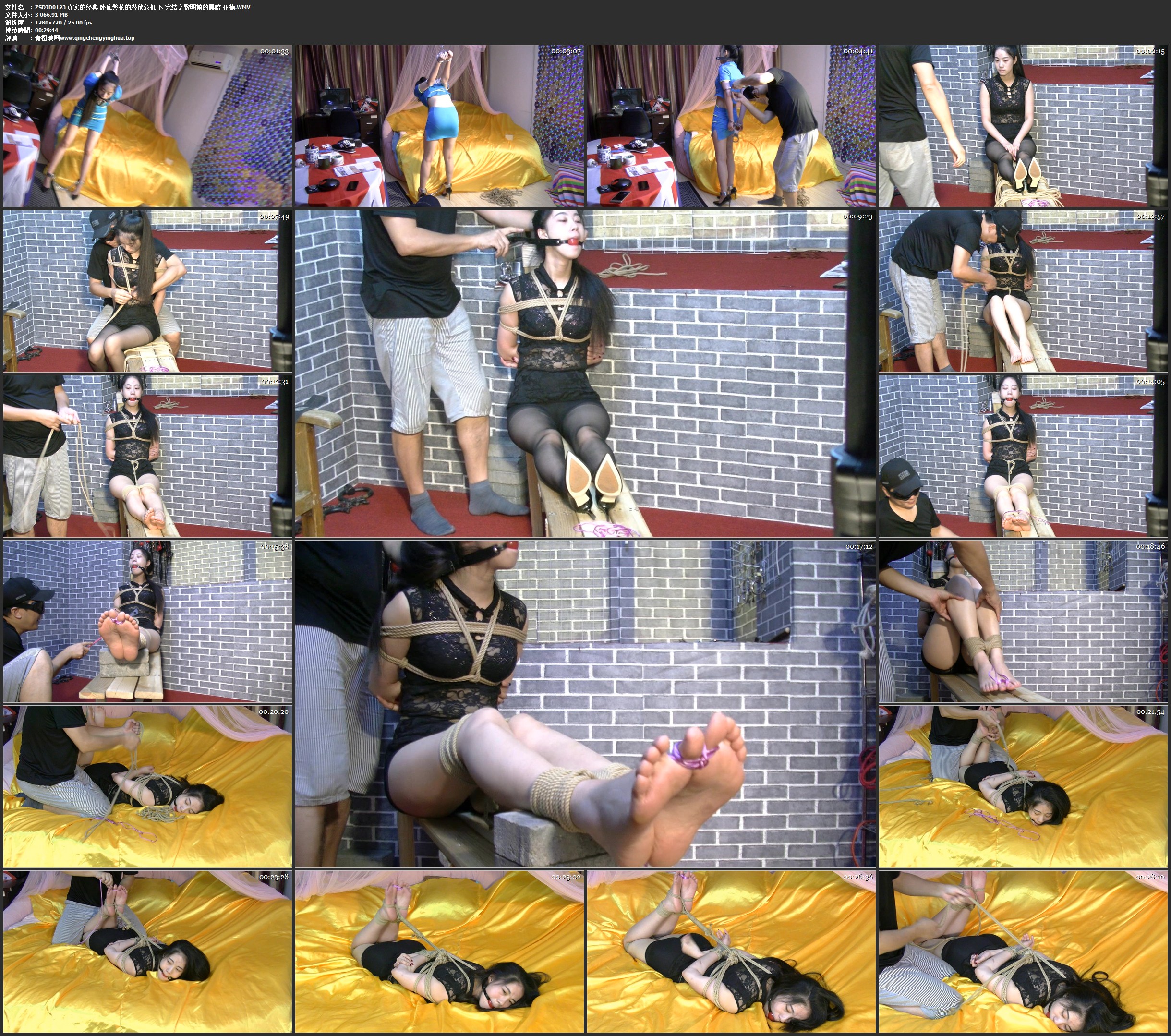 真实的经典 卧底警花的潜伏危机 下 完结之黎明前的黑暗 亚楠