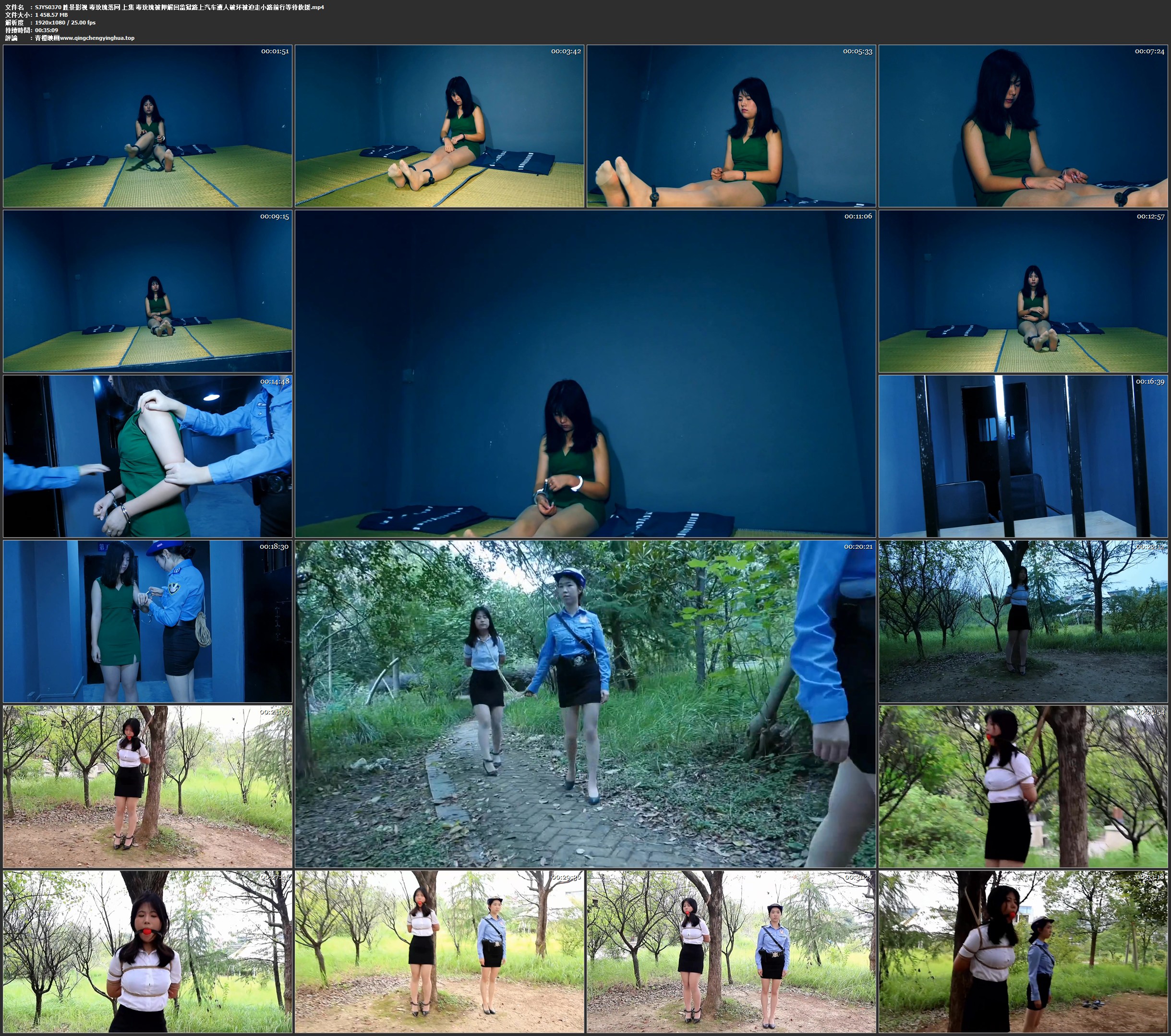 胜景影视 毒玫瑰落网 上集 毒玫瑰被押解回监狱路上汽车遭人破坏被迫走小路前行等待救援