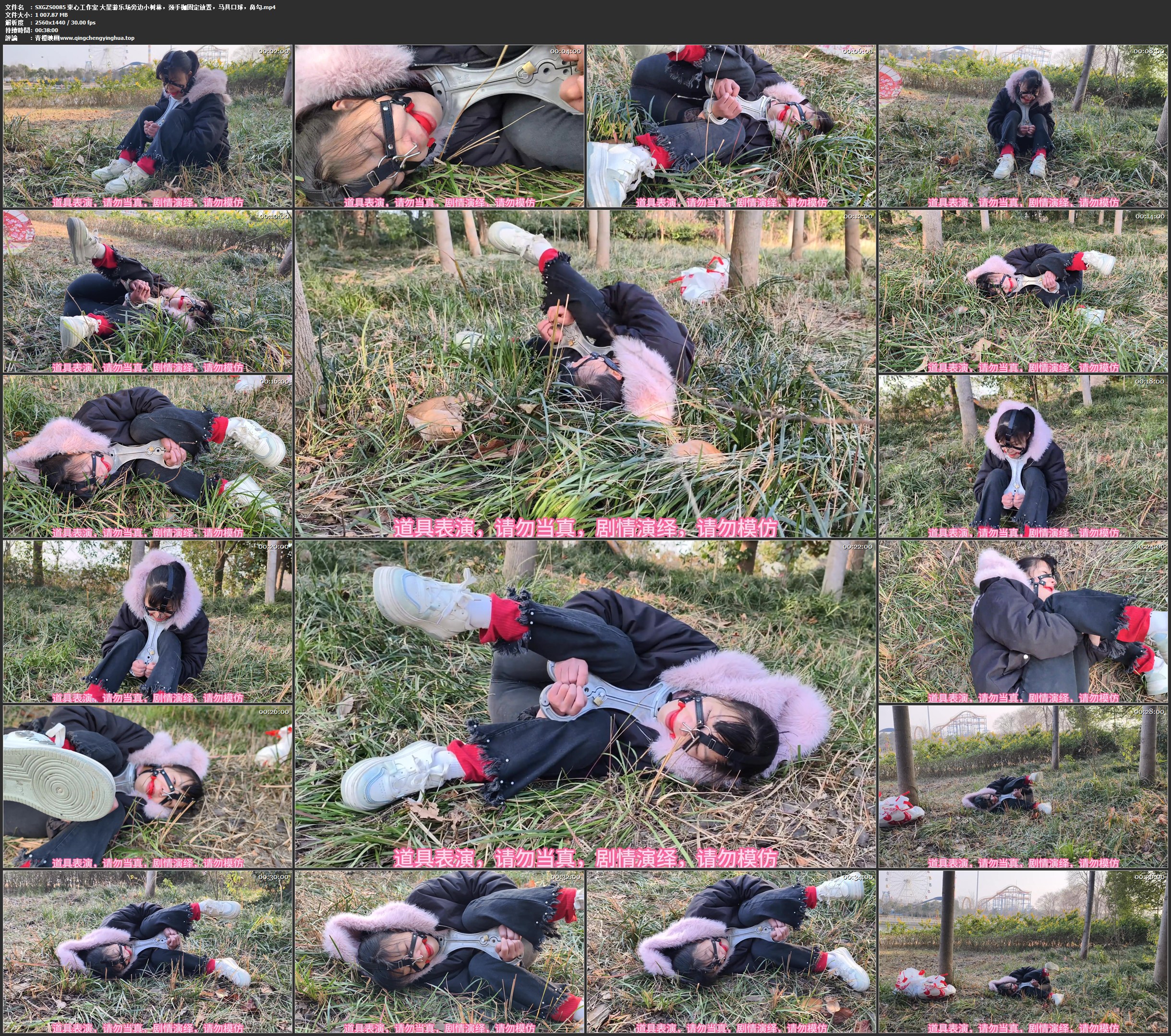 束心工作室 大星游乐场旁边小树林,颈手枷固定放置,马具口球,鼻勾