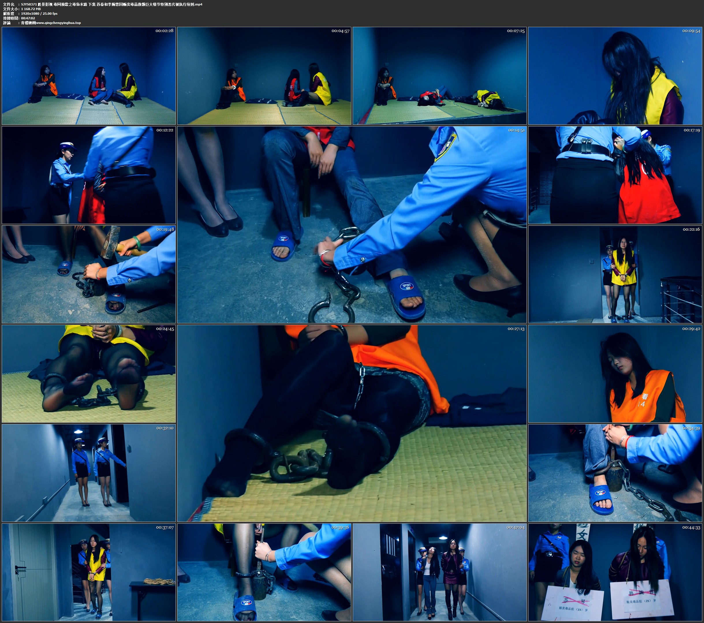 胜景影视 毒网挽歌之毒枭末路 下集 苏秦和李婉蓉因贩卖毒品数额巨大情节特别恶劣被执行绞刑