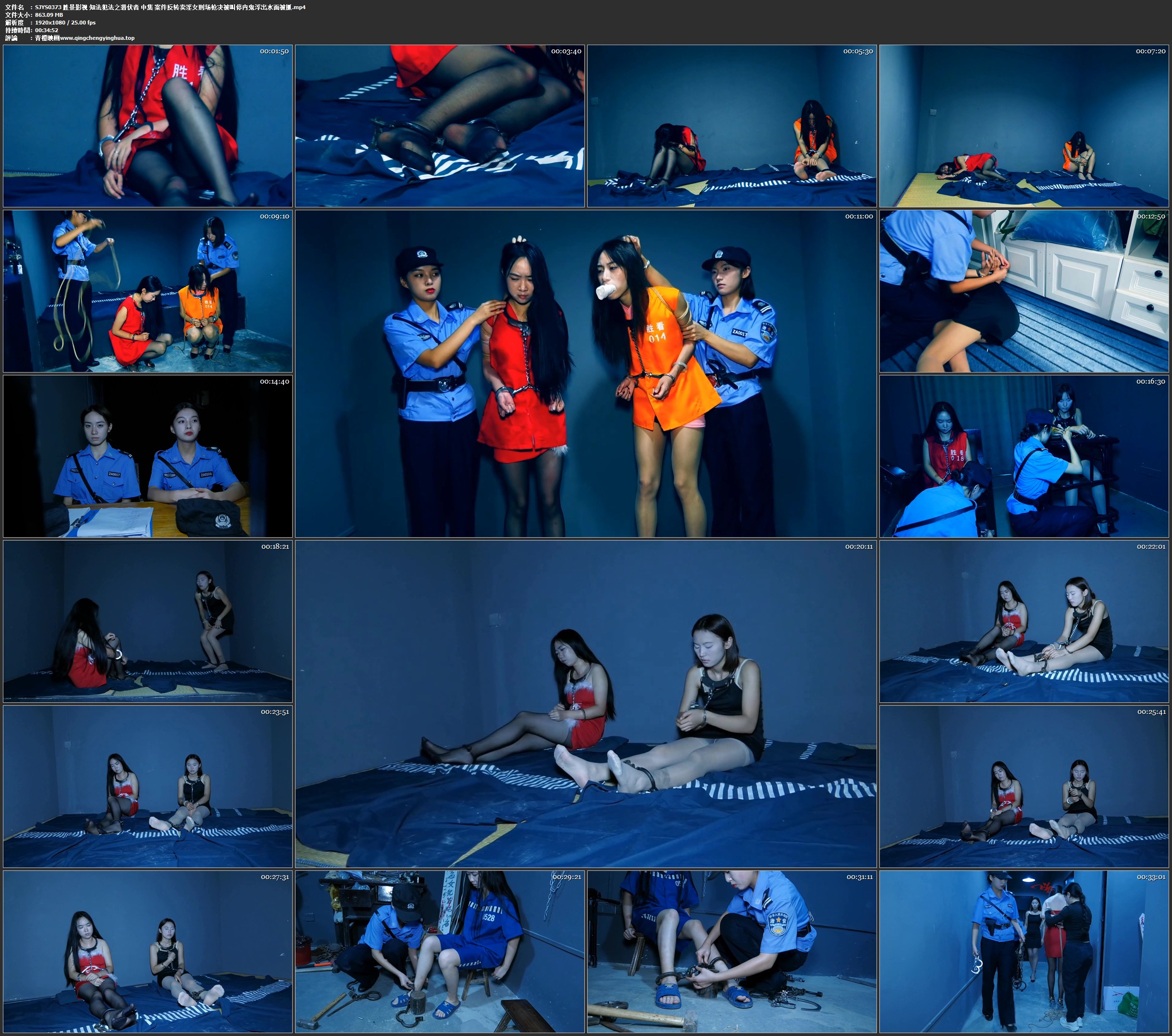 胜景影视 知法犯法之潜伏者 中集 案件反转卖淫女刑场枪决被叫停内鬼浮出水面被抓