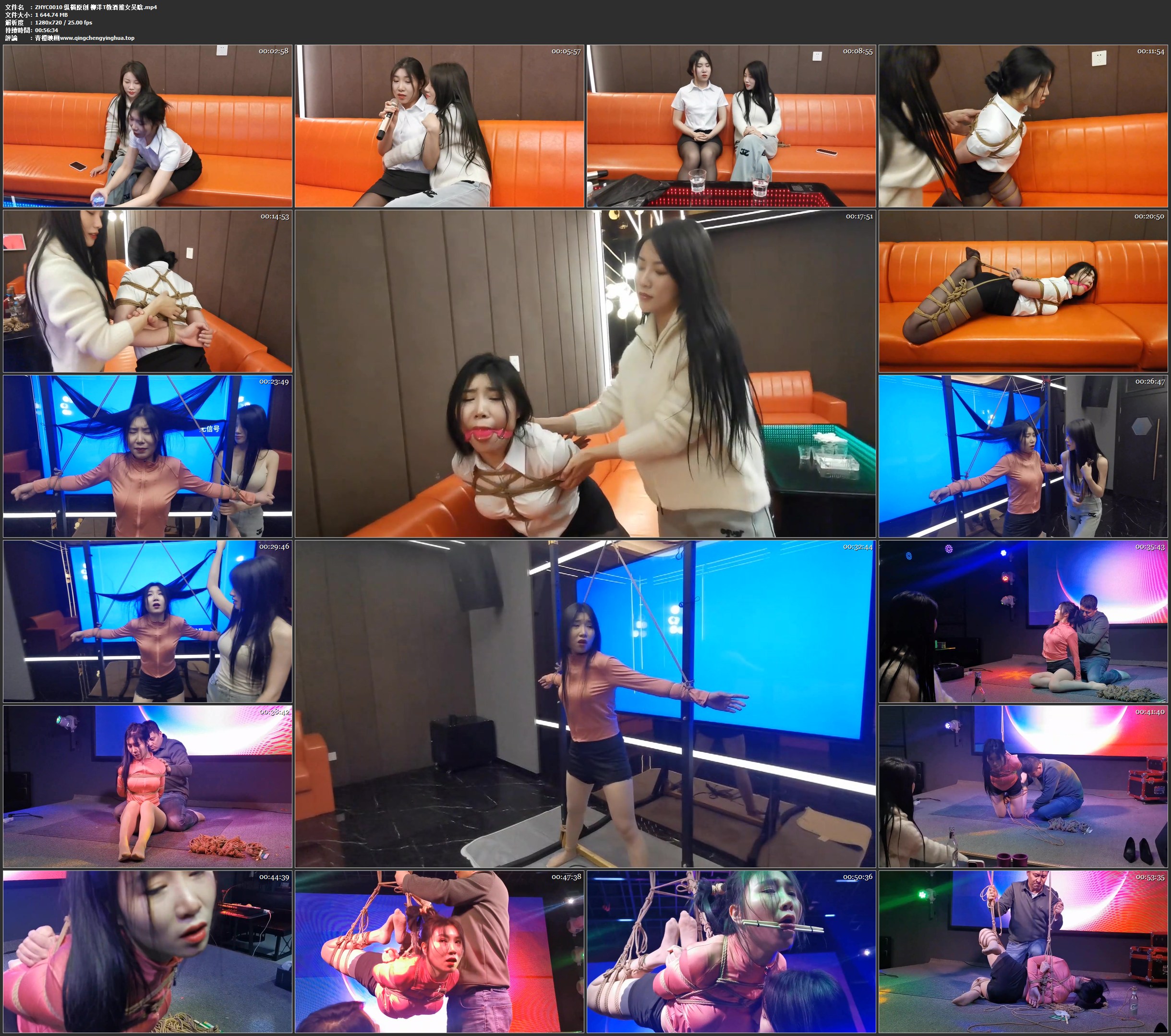 纵横原创 柳洋T教酒推女吴晗