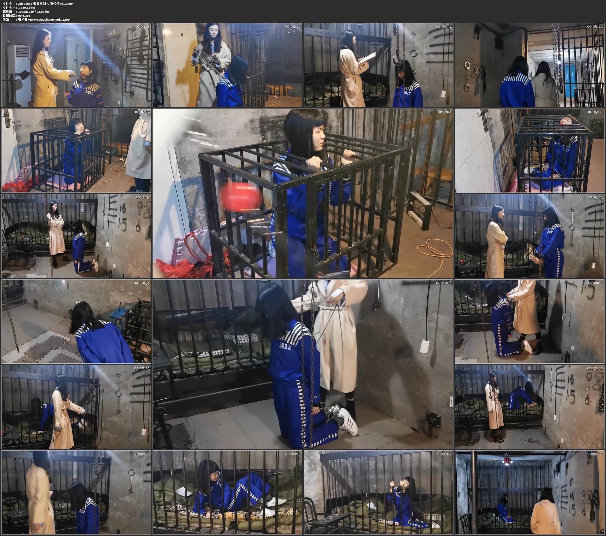 纵横原创 女犯代号3012