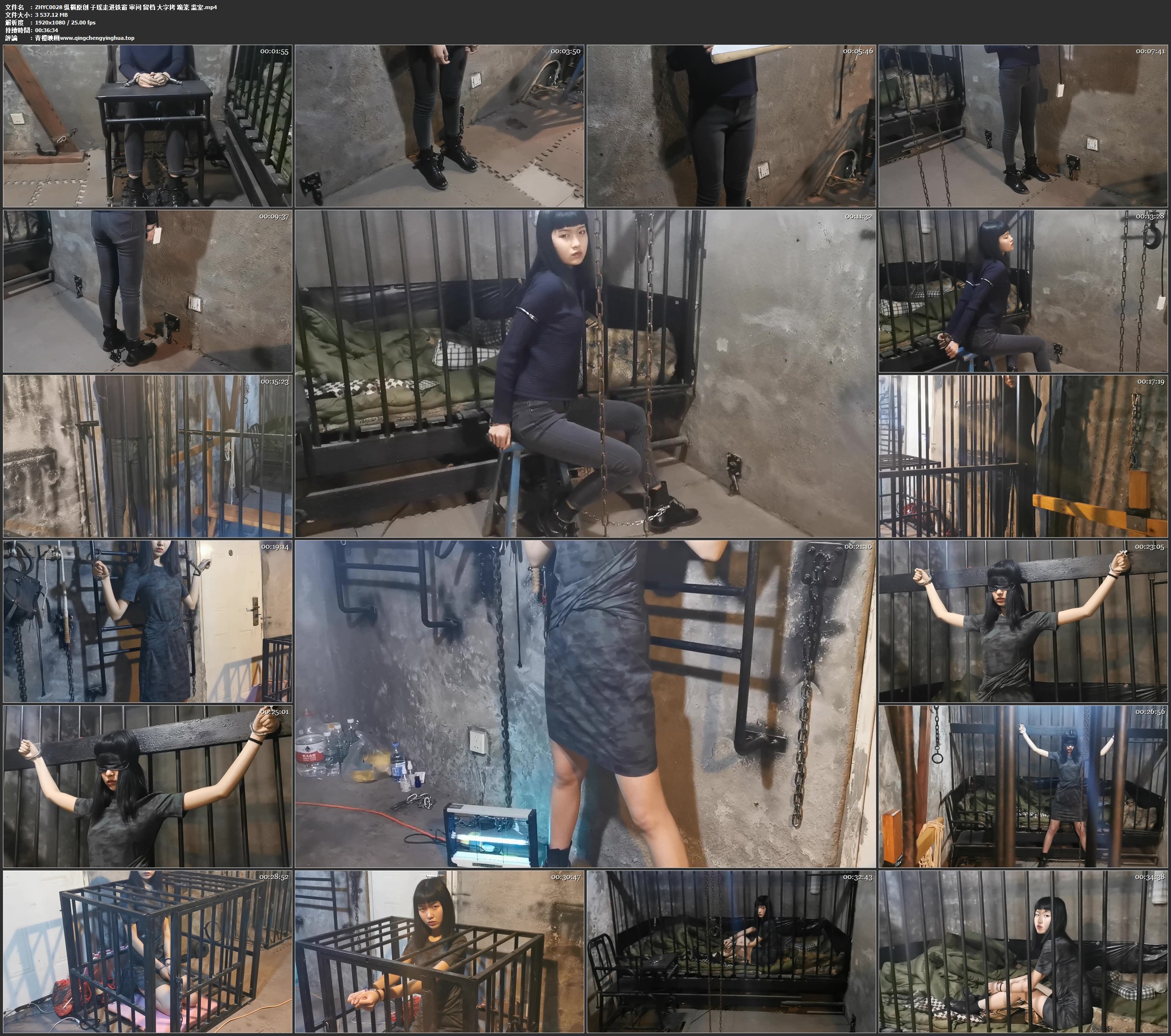 纵横原创 子瑶走进铁窗 审问 留档 大字拷 跪笼 监室