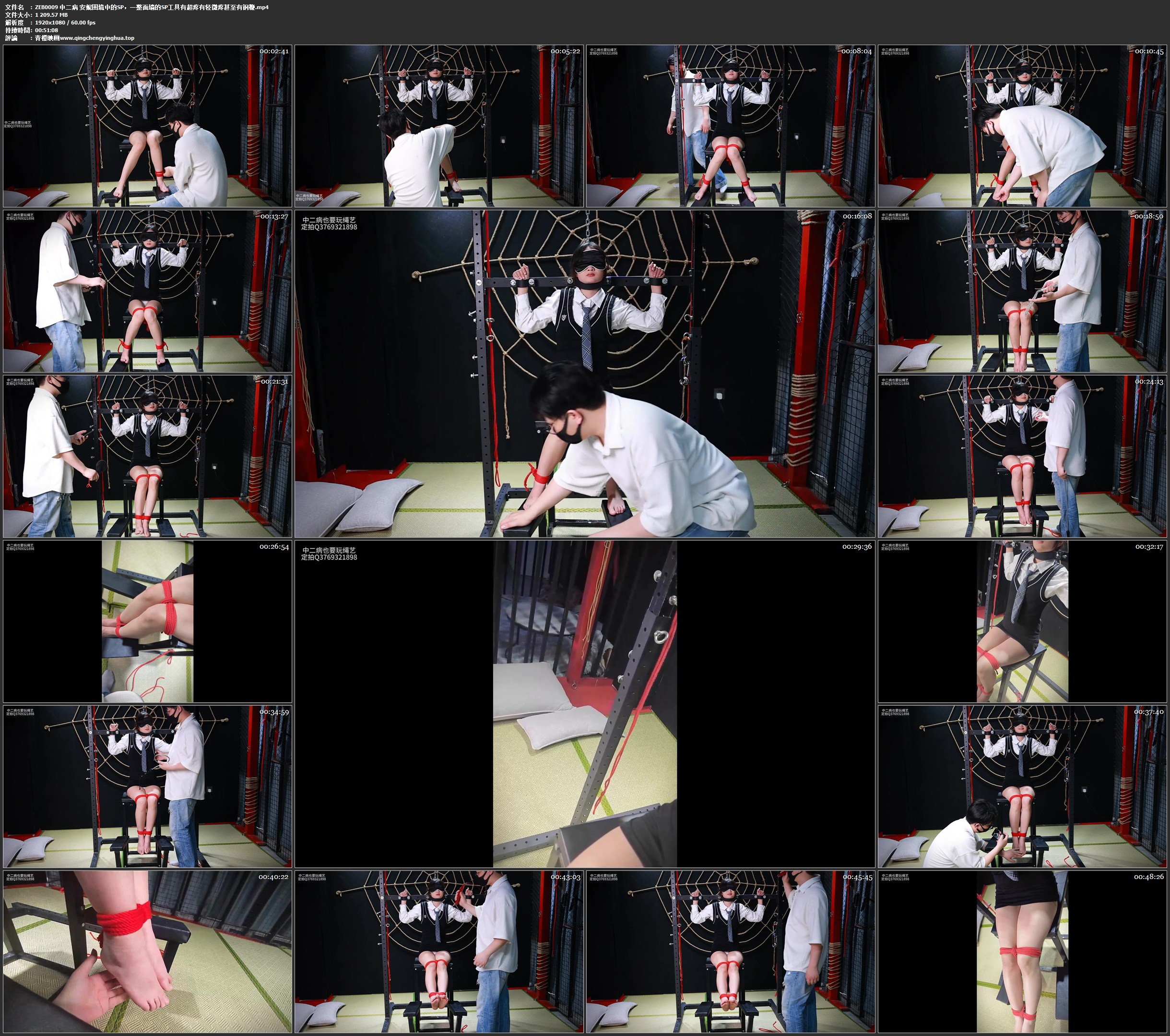 中二病 安妮困境中的SP，一整面墙的SP工具有超疼有轻微疼甚至有钢鞭