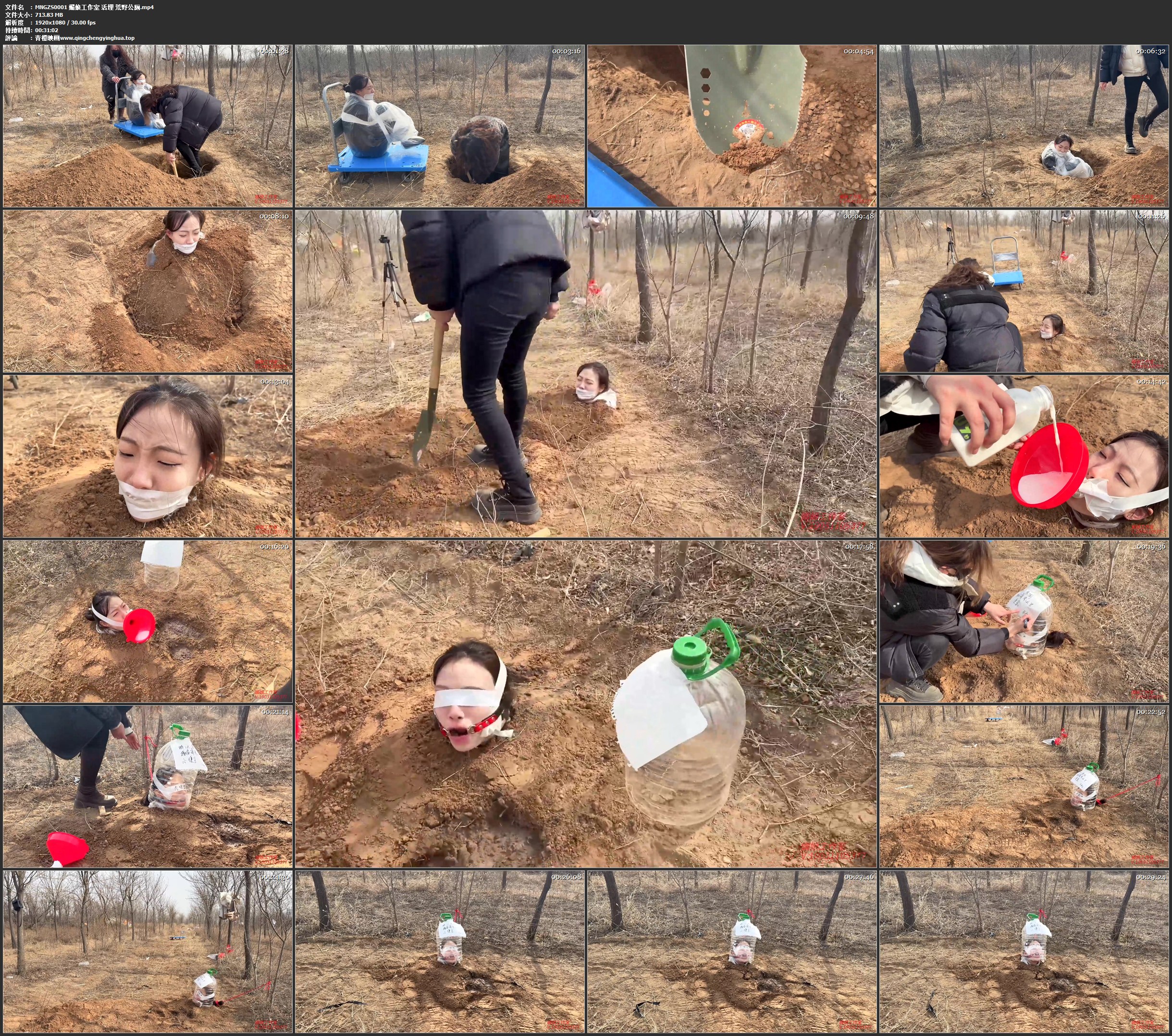 媚娘工作室 活埋 荒野公厕