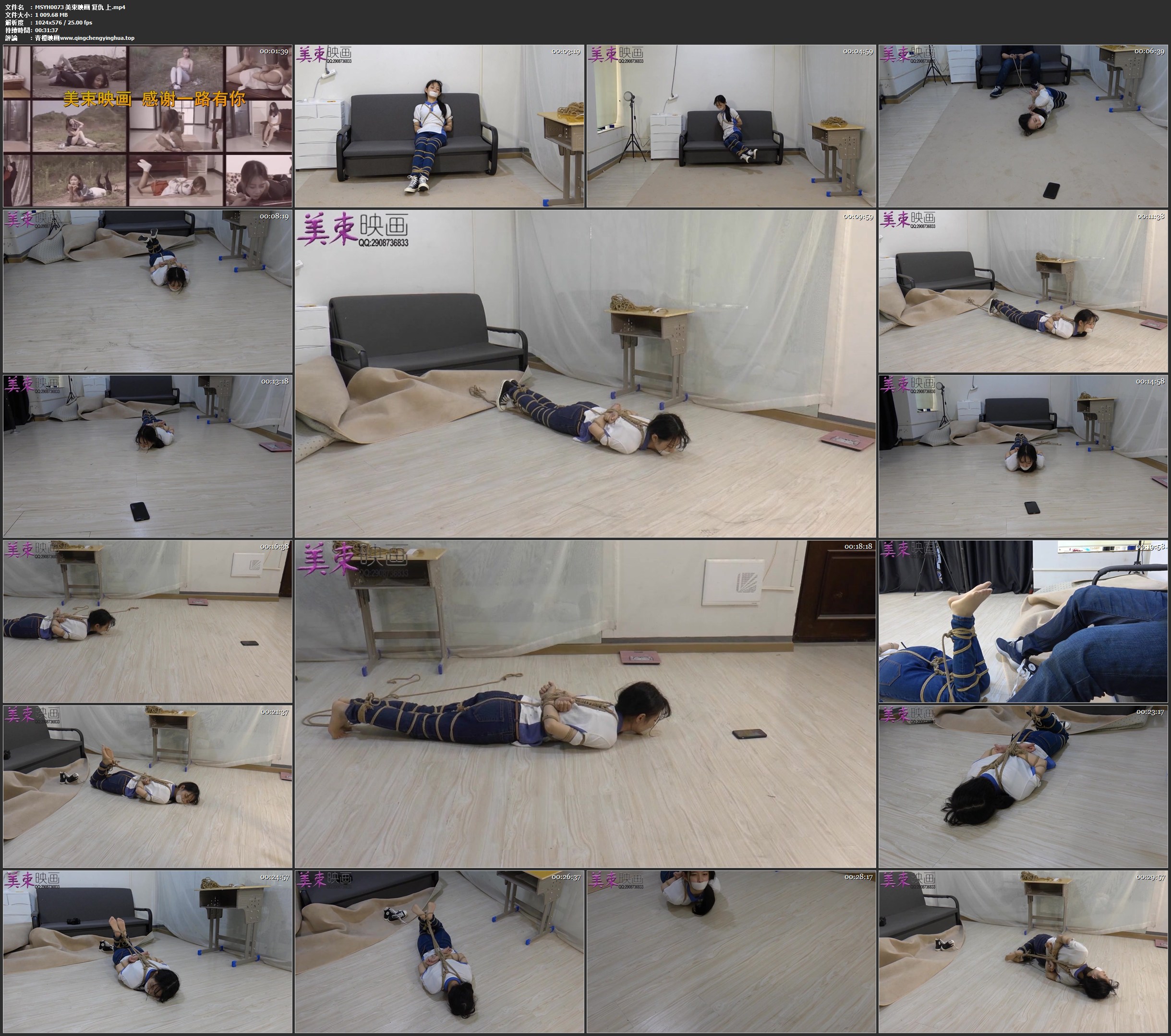 美束映画 复仇 上