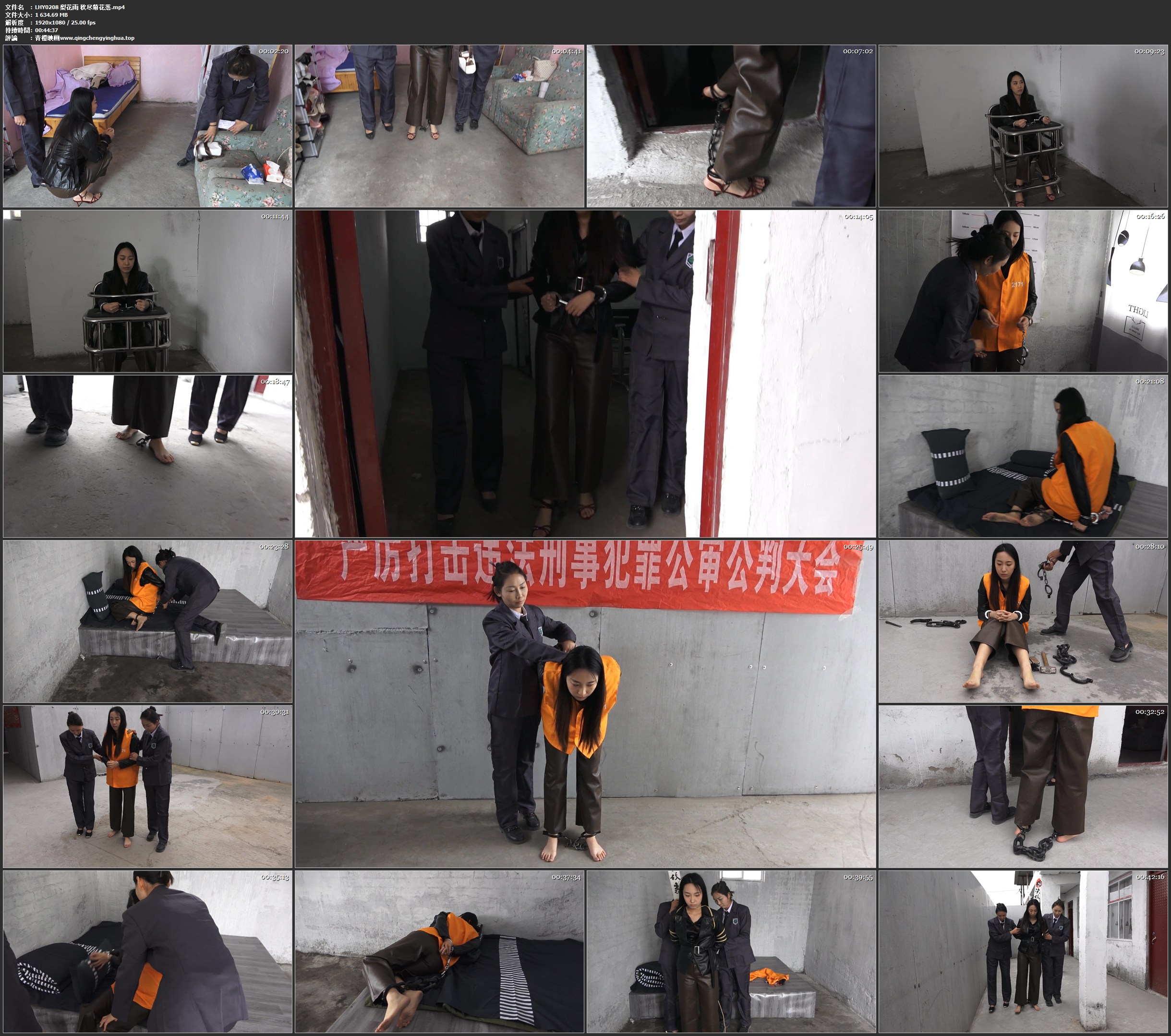 梨花雨 秋尽菊花落