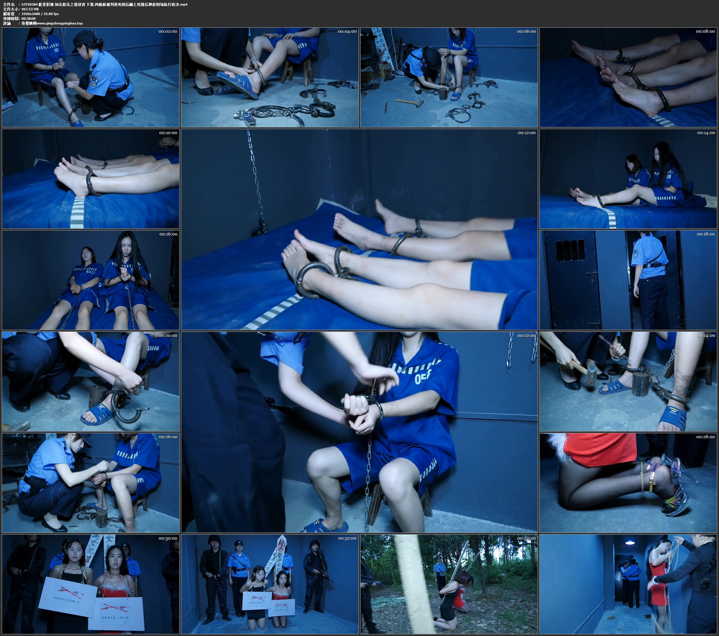 胜景影视 知法犯法之潜伏者 下集 两姐妹被判处死刑后砸上死镣后押赴刑场执行枪决