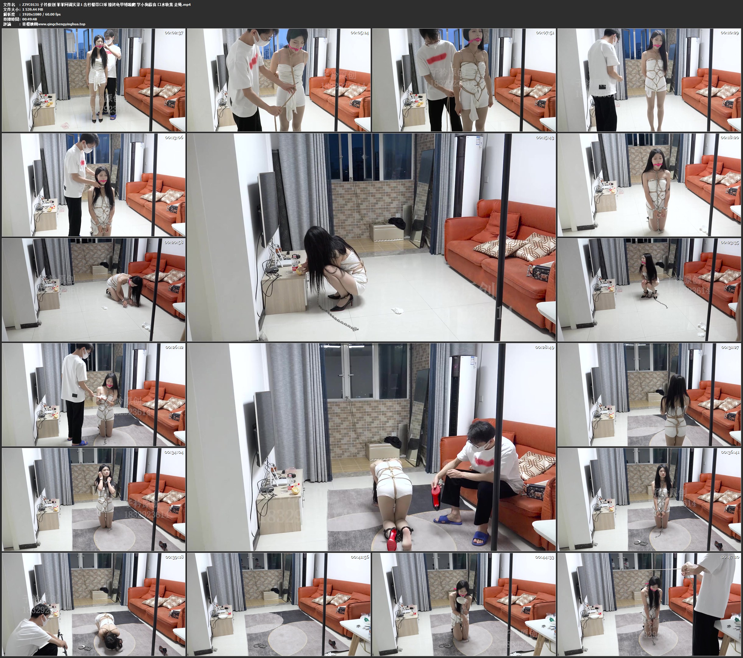 子衿原创 菲菲网调实录1 含柠檬带口球 镣铐龟甲缚跪爬 学小狗舔食 口水收集 走绳