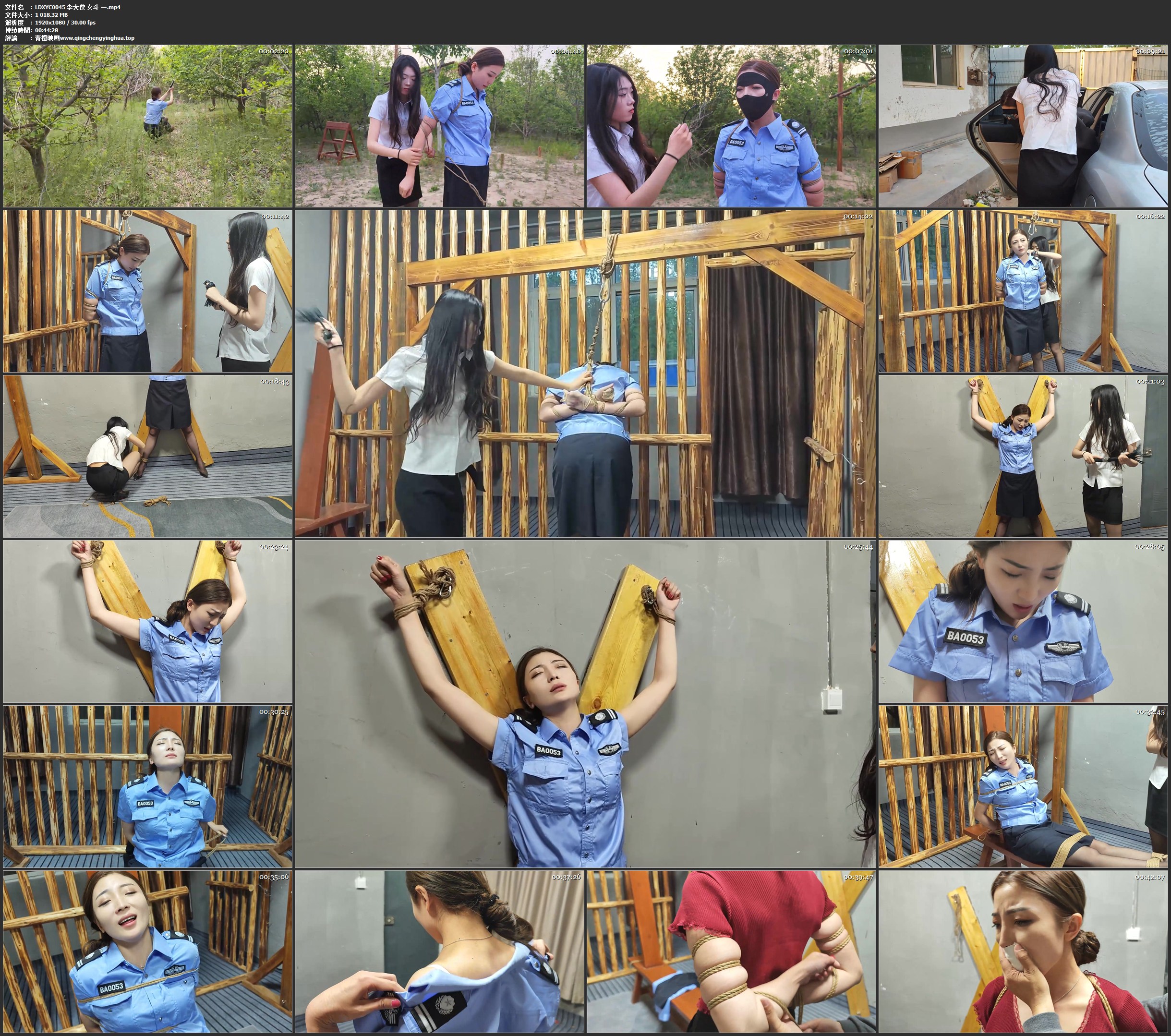 李大侠 女斗 一