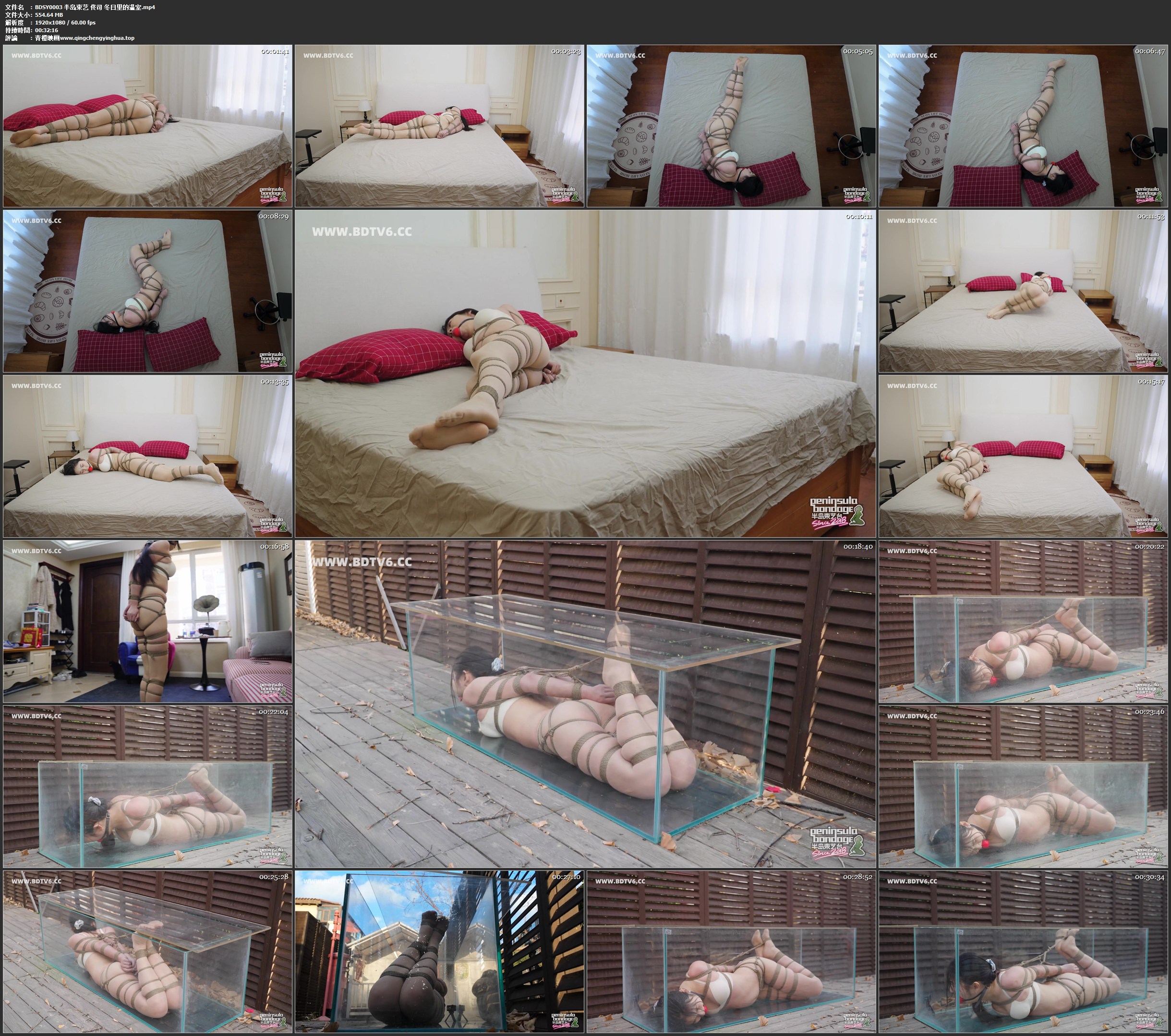 半岛束艺 佟司 冬日里的温室