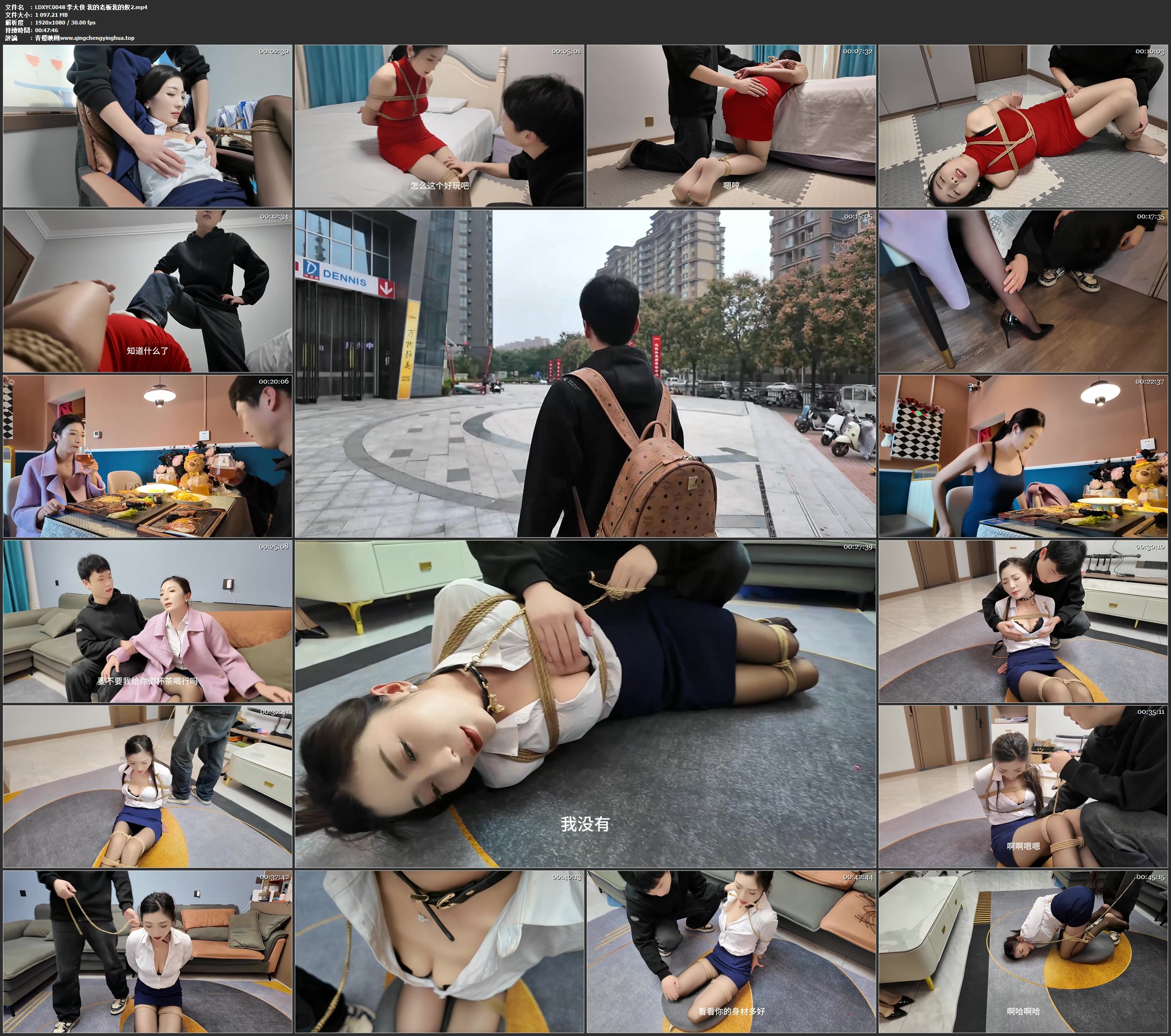 李大侠 我的老板我的奴2