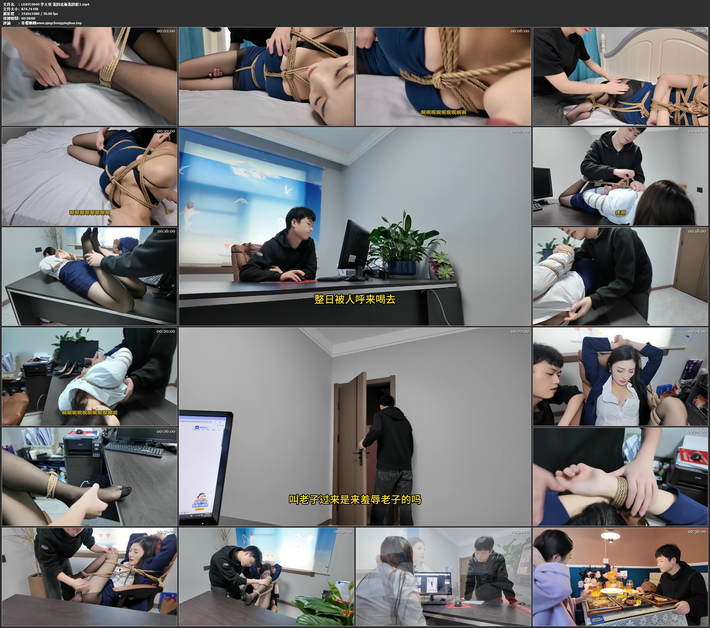 李大侠 我的老板我的奴1