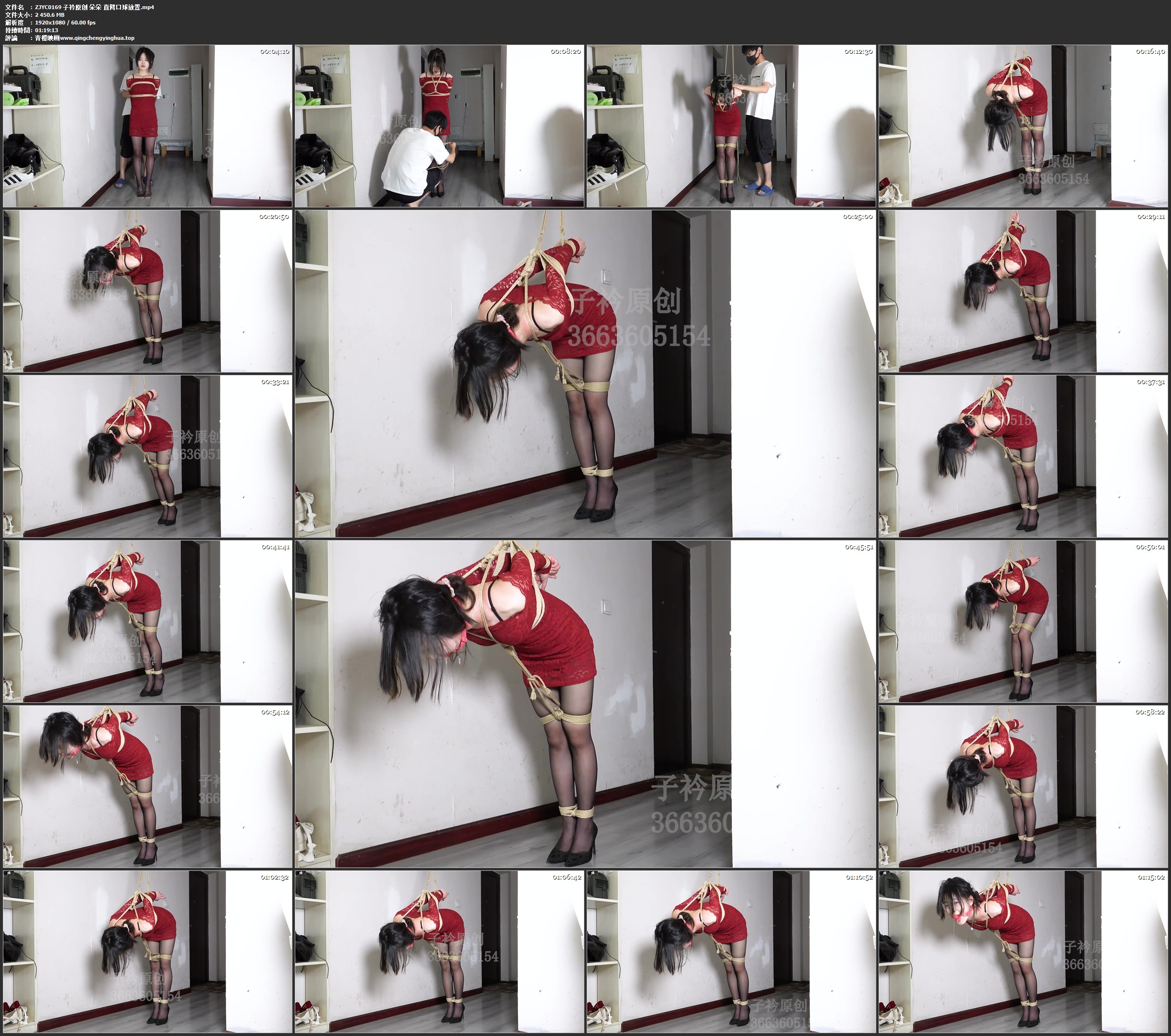 子衿原创 朵朵 直臂口球放置