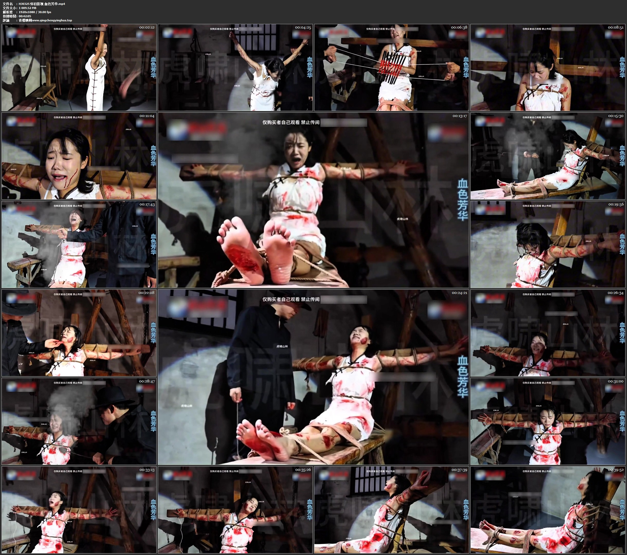 怀旧影视 血色芳华