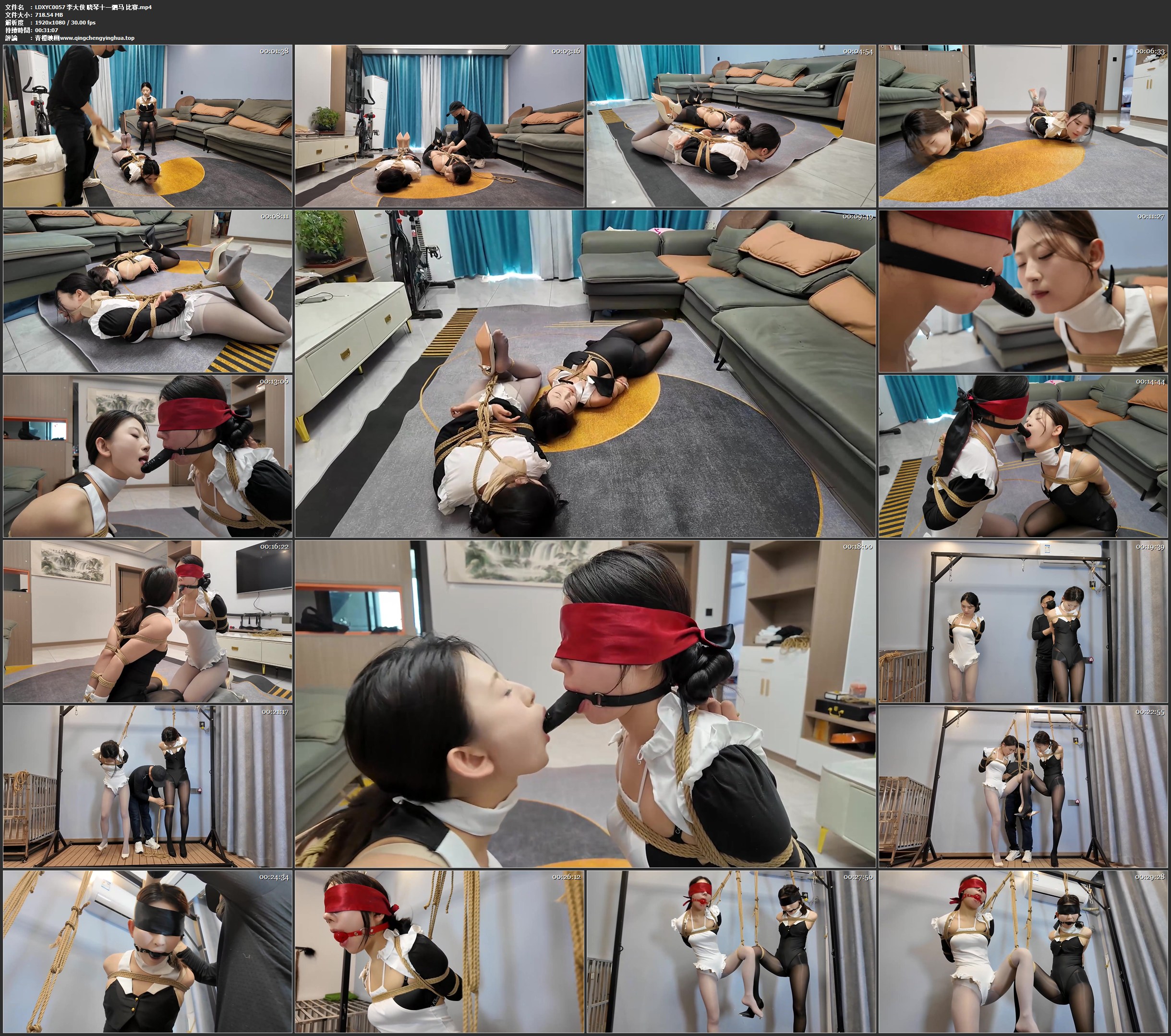 李大侠 晓琴十一驷马 比赛