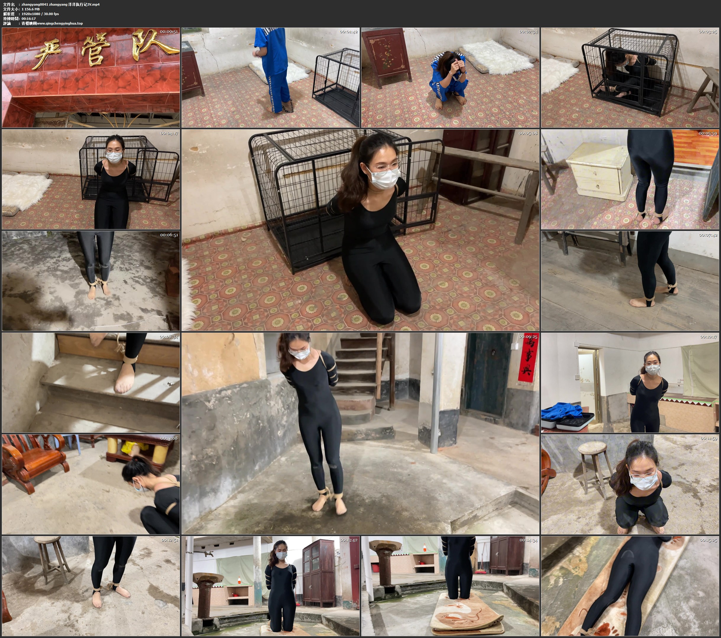 zhangyang 洋洋执行记Ⅳ