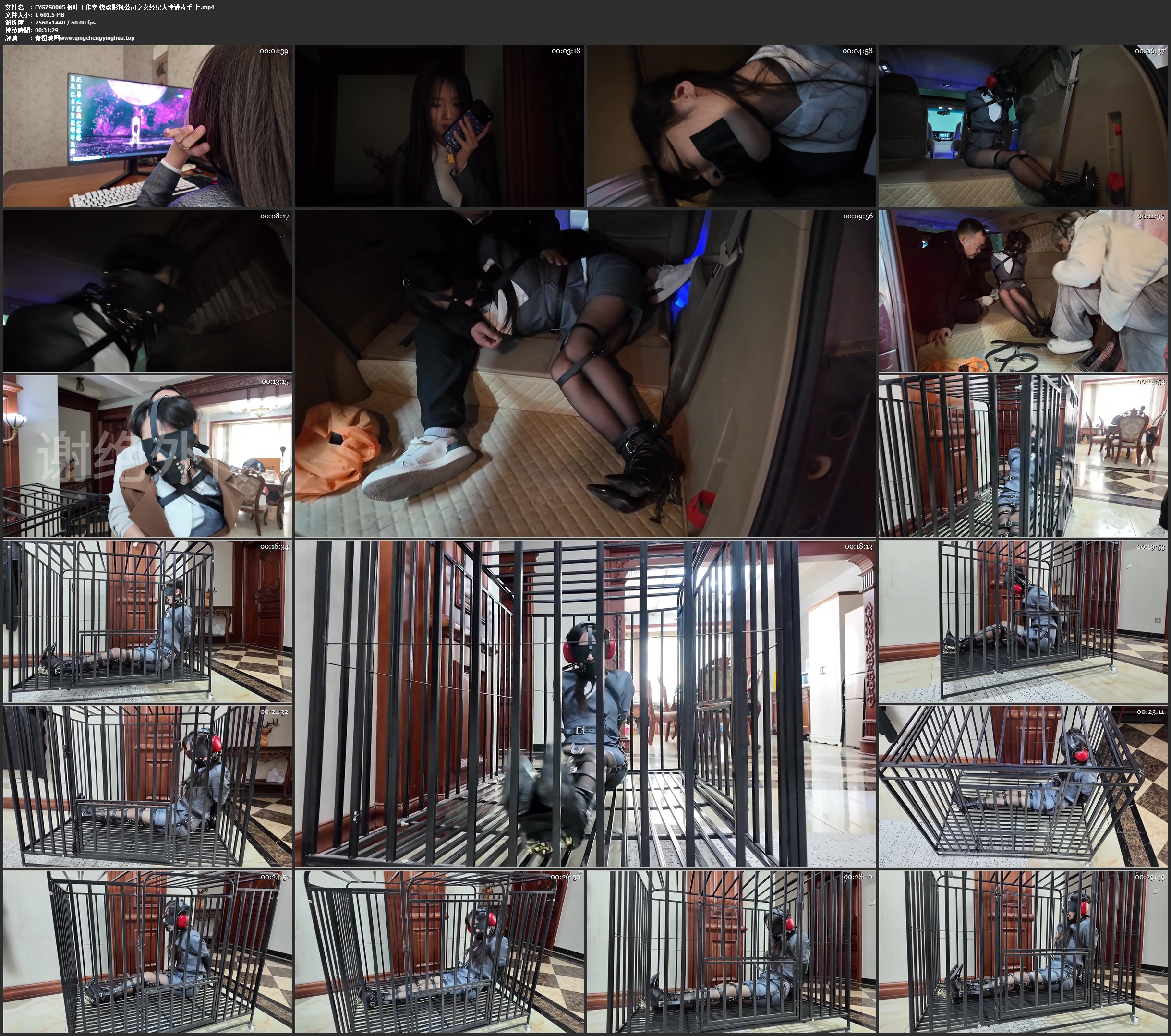 枫叶工作室 惊魂影视公司之女经纪人惨遭毒手 上