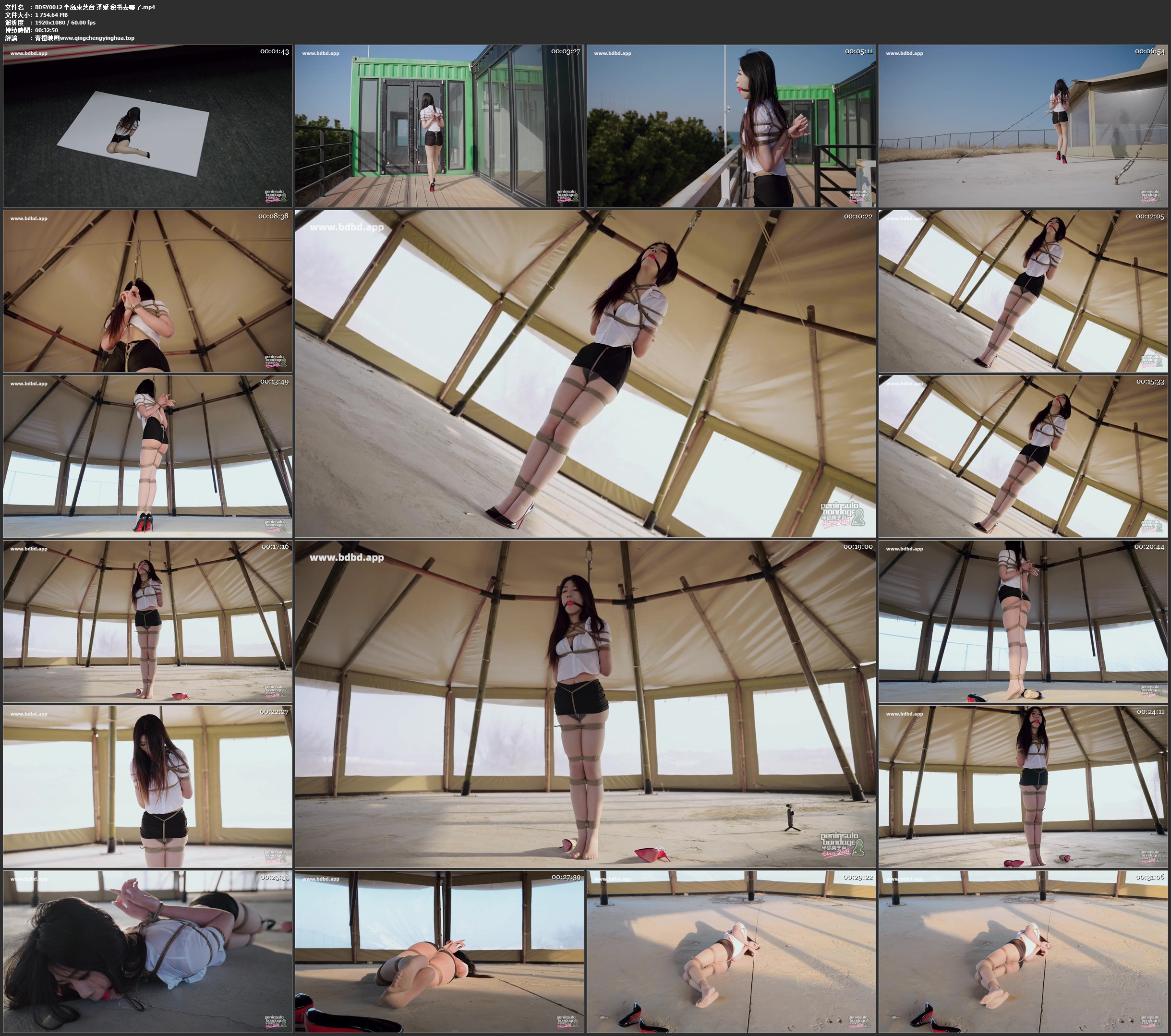 半岛束艺台 泽爱 秘书去哪了