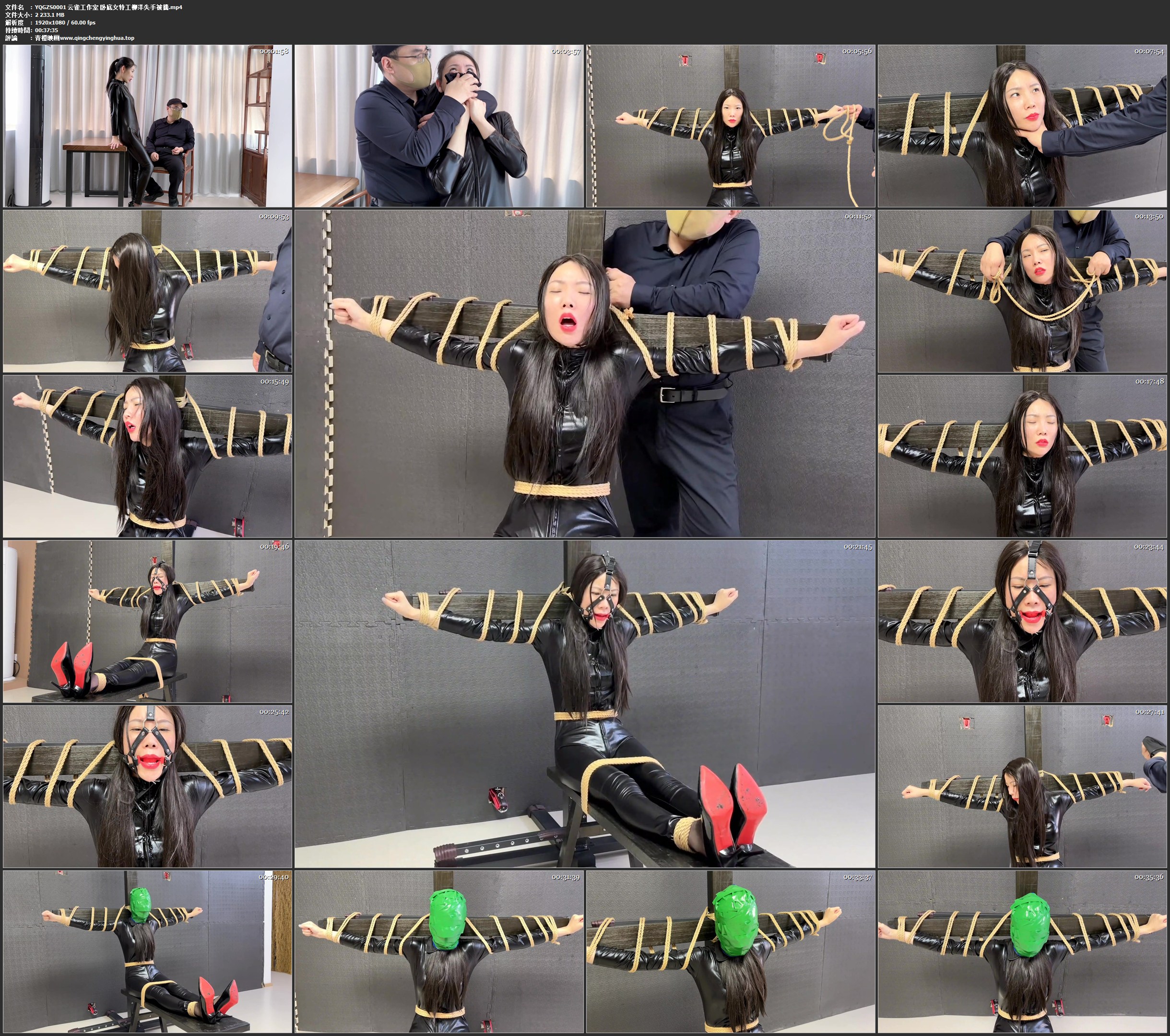 云雀工作室 卧底女特工柳洋失手被擒