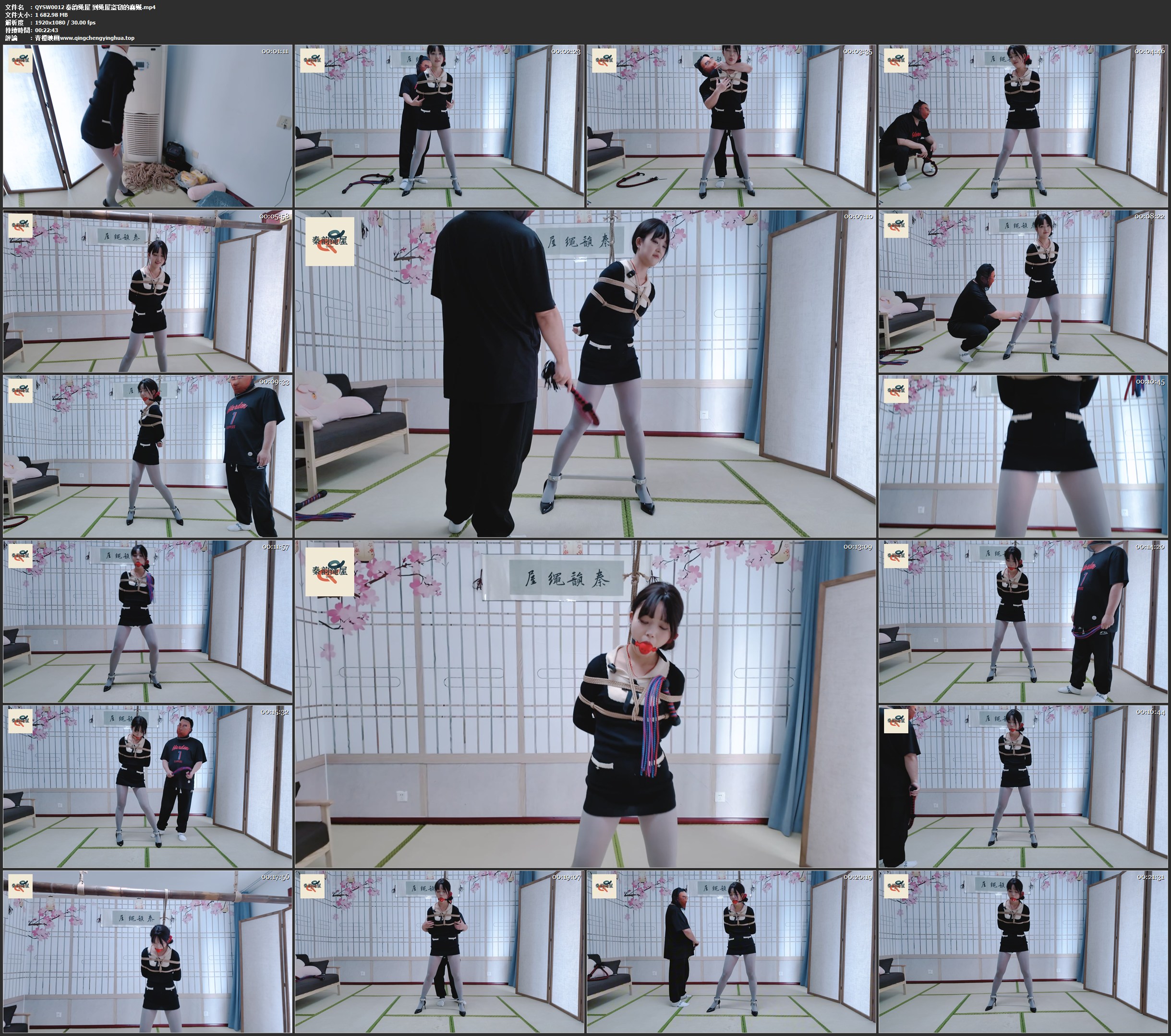 秦韵绳屋 到绳屋盗窃的蠢贼