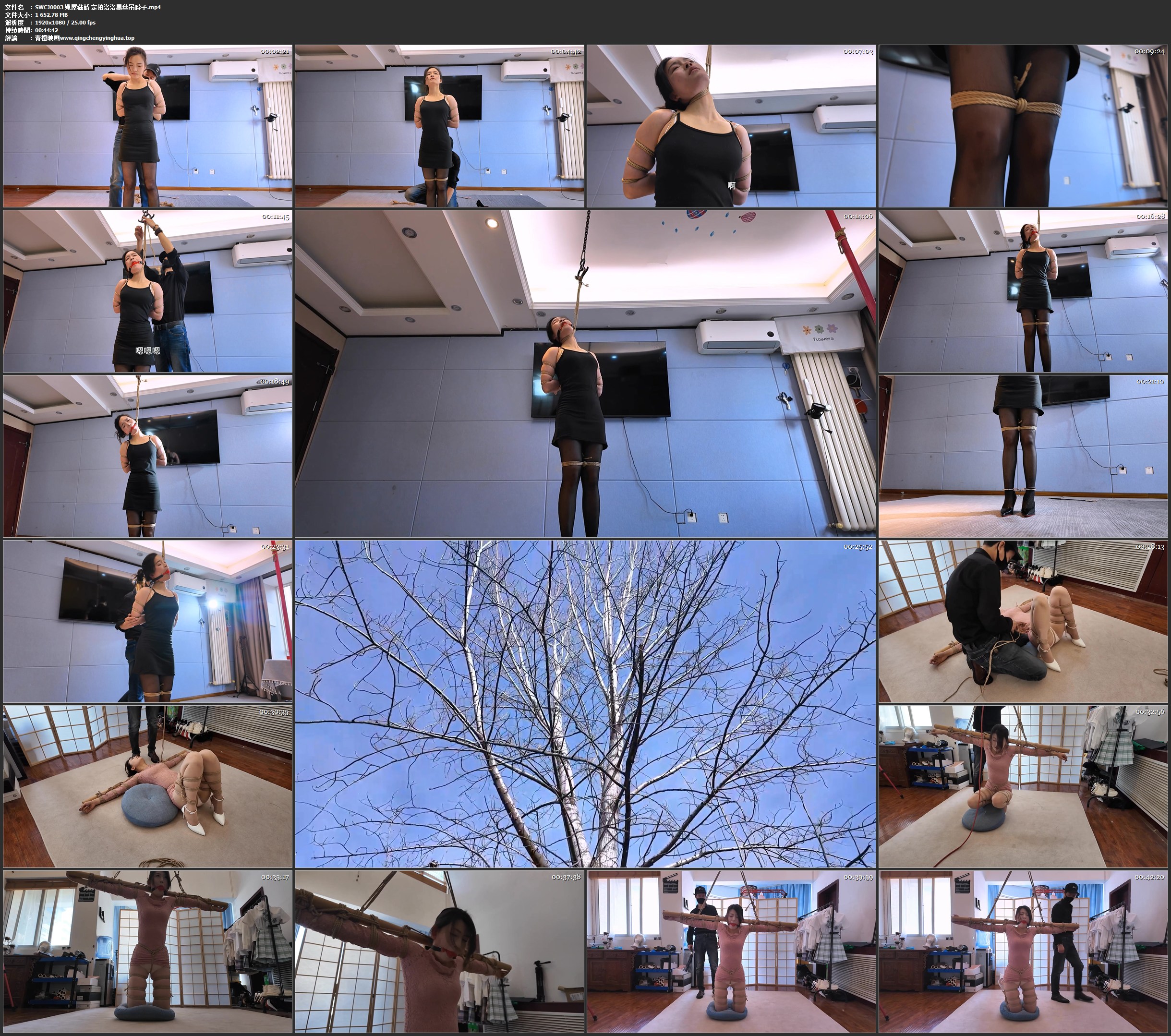 绳屋藏娇 定拍洛洛黑丝吊脖子