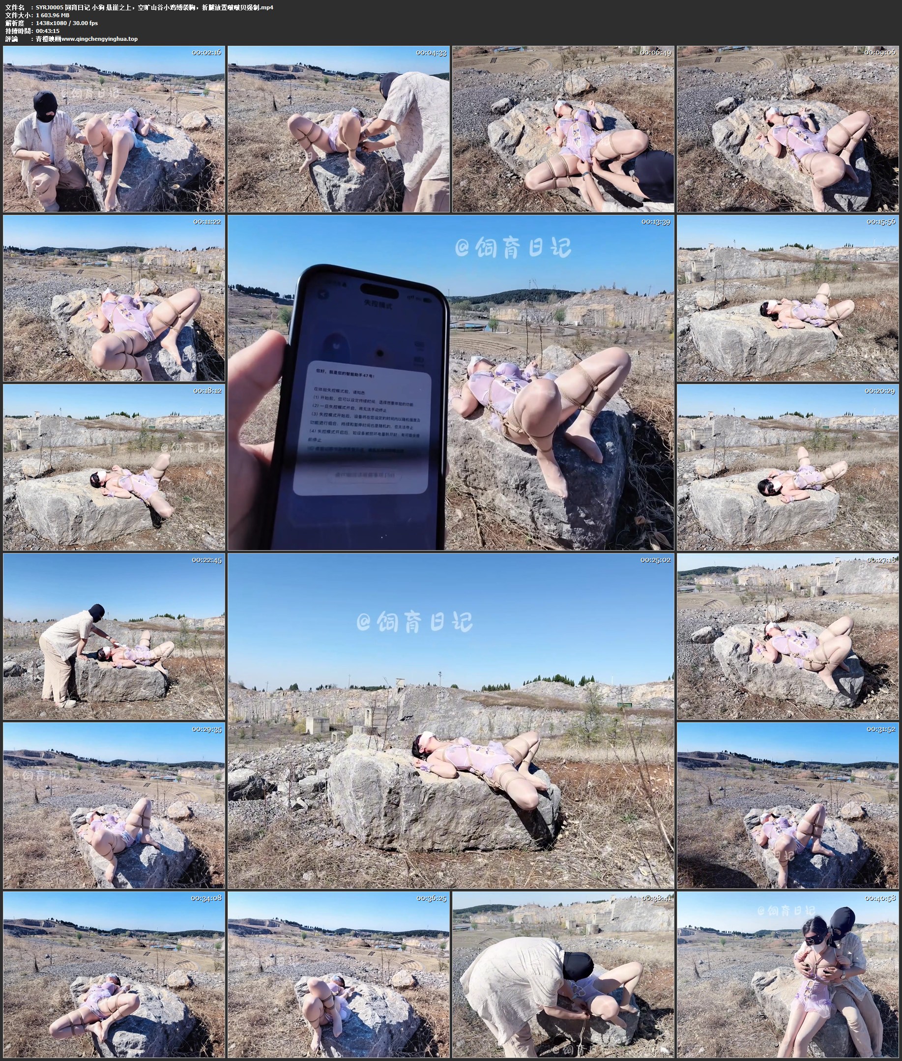 饲育日记 小狗 悬崖之上，空旷山谷小鸡缚袭胸，折腿放置啵啵贝强制