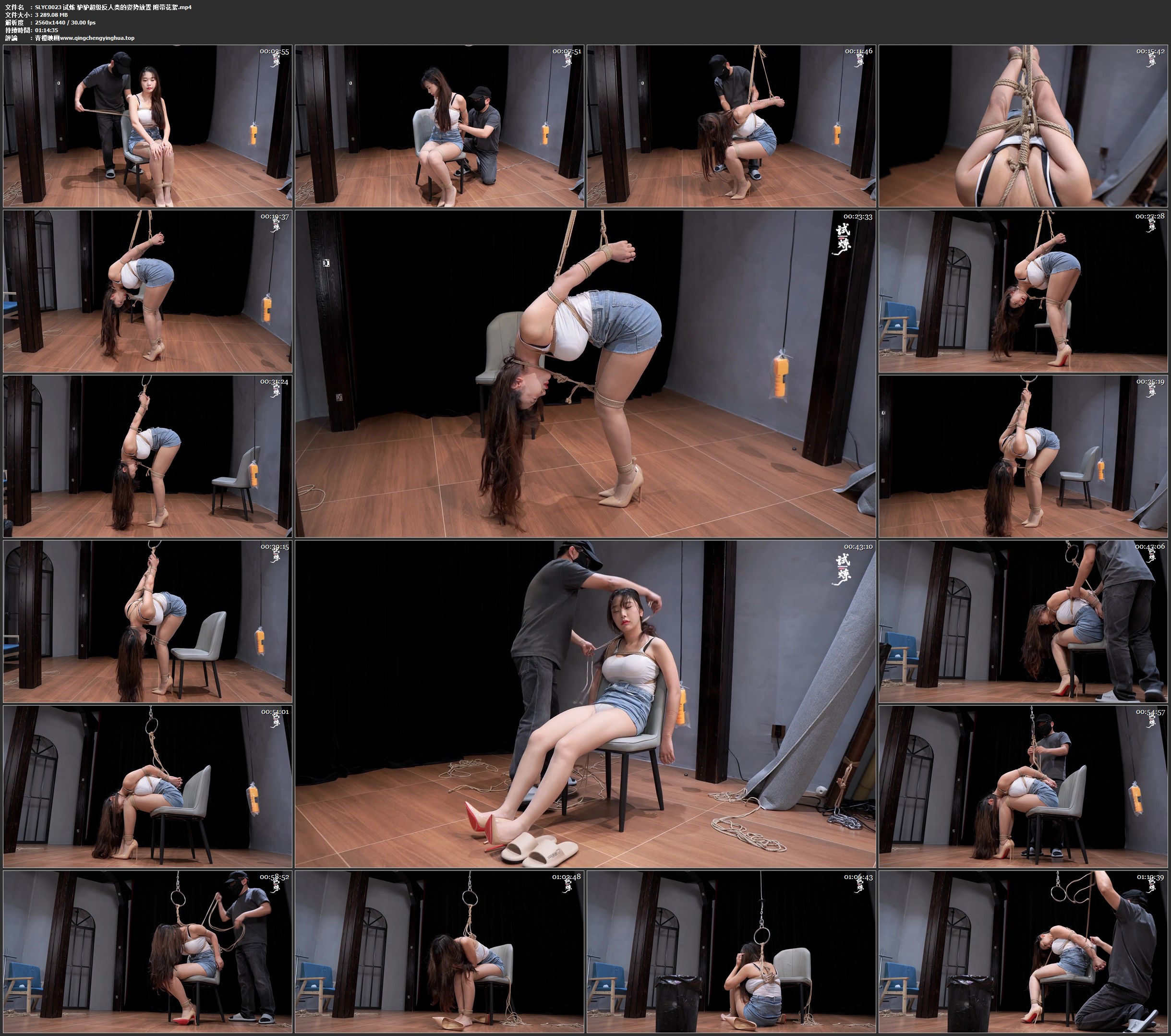 试炼 驴驴超级反人类的姿势放置 附带花絮