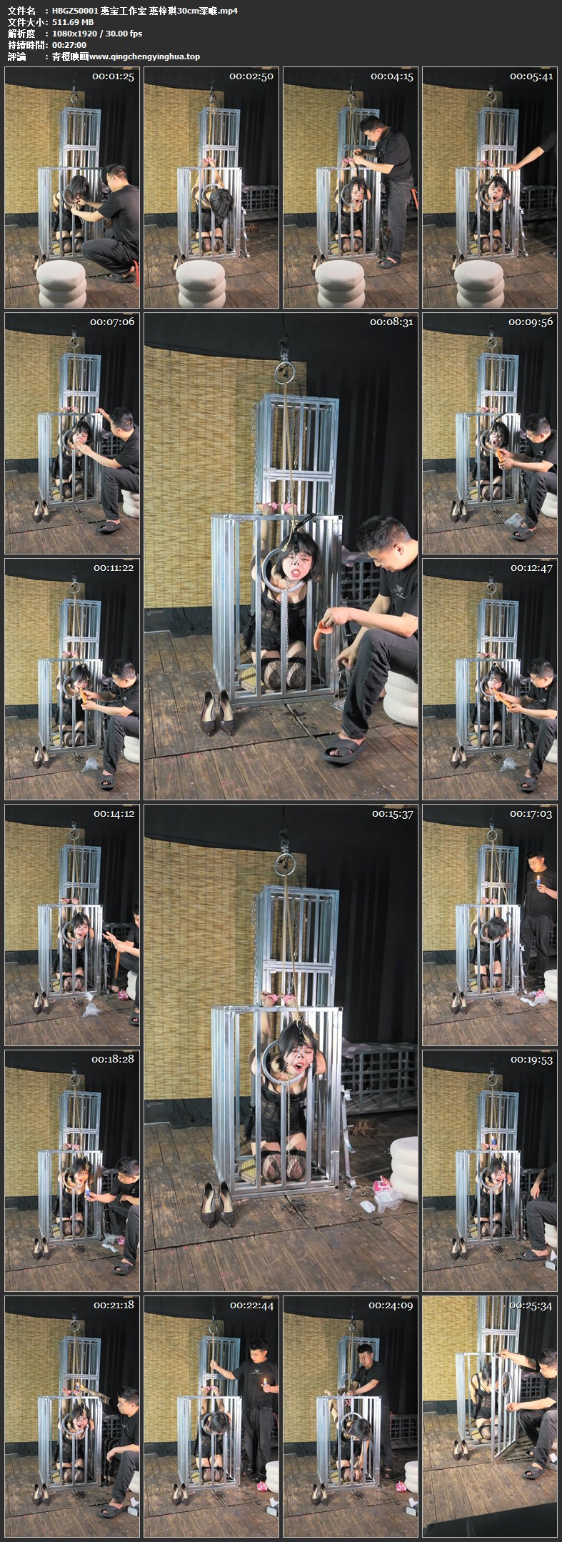 惠宝工作室 惠梓琪30cm深喉